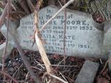 image of grave number 373001